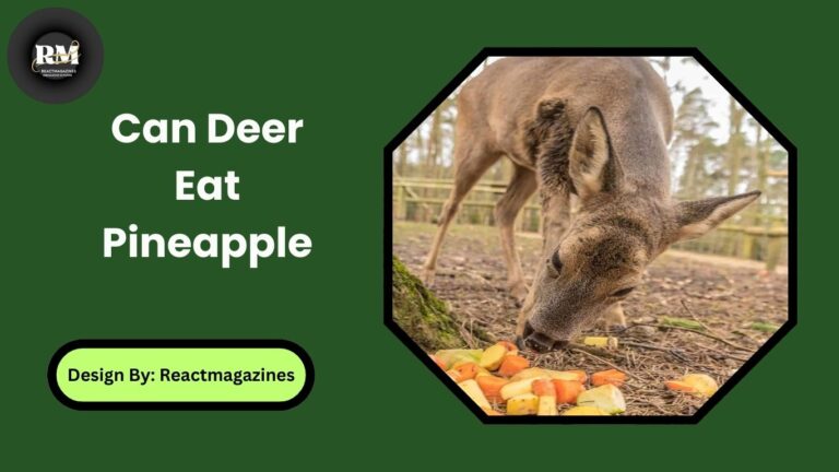 Can Deer Eat Pineapple
