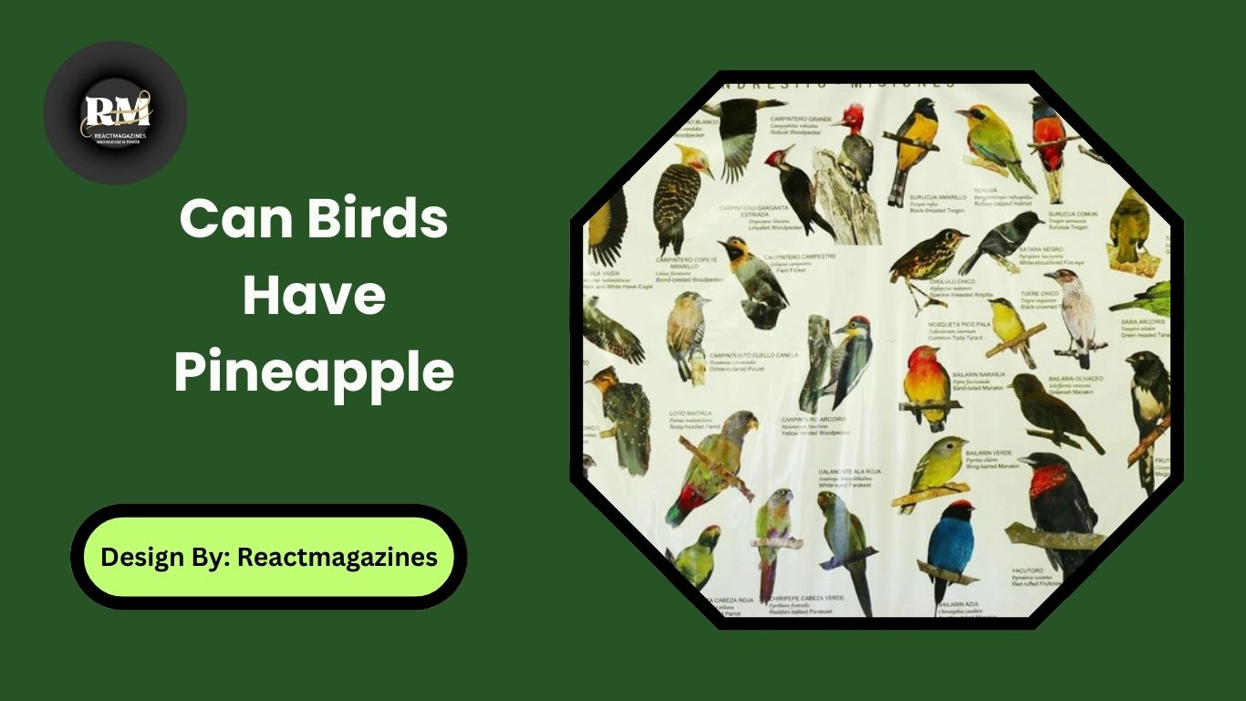 Can Birds Have Pineapple