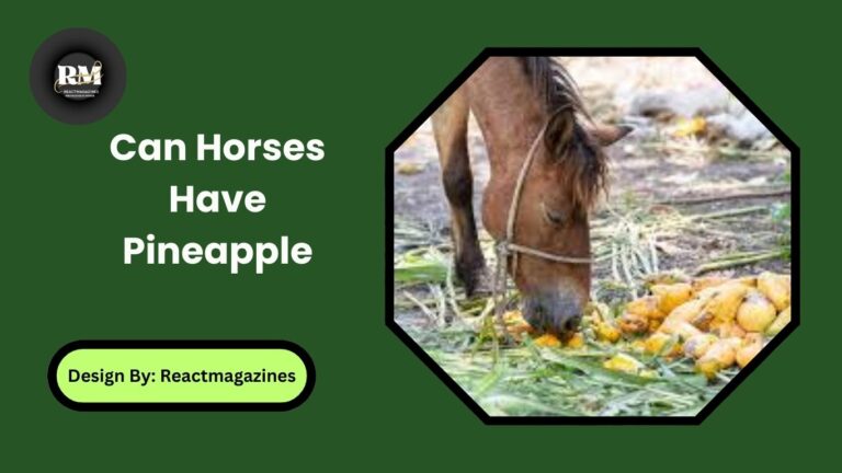 Can Horses Have Pineapple