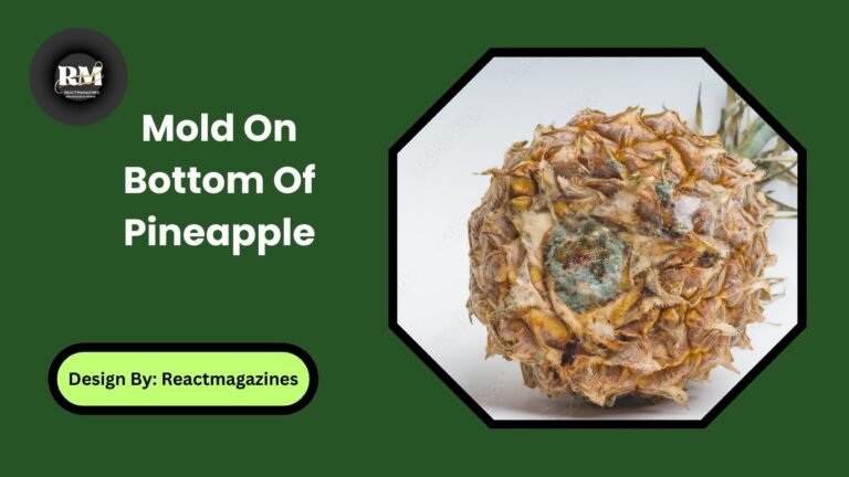 Mold On Bottom Of Pineapple