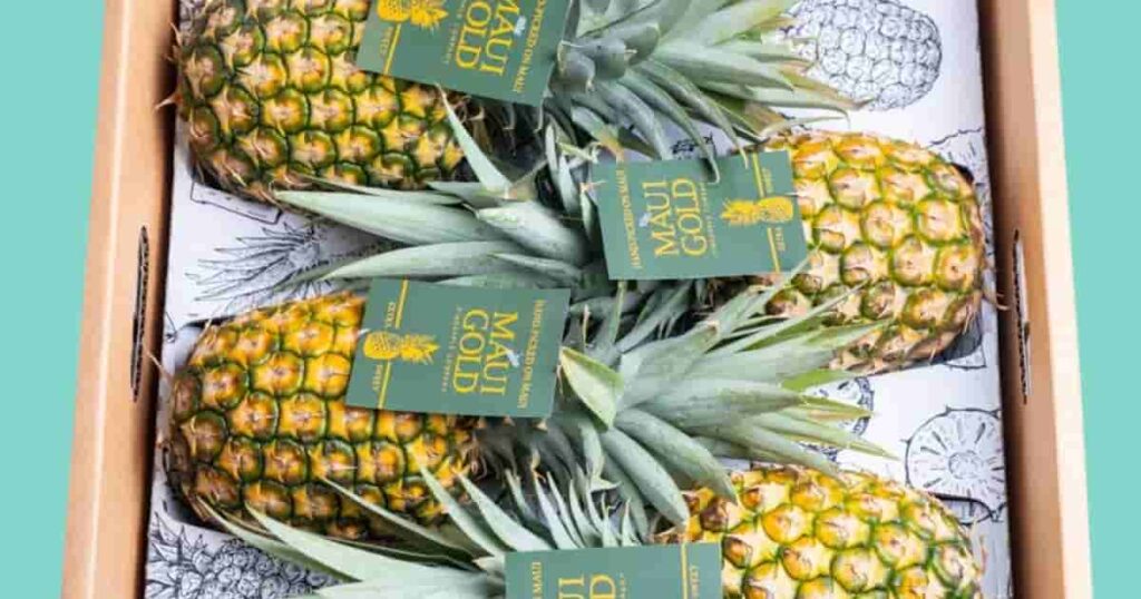 Why Do Fresh Hawaiian Pineapples Make the Perfect Gift?