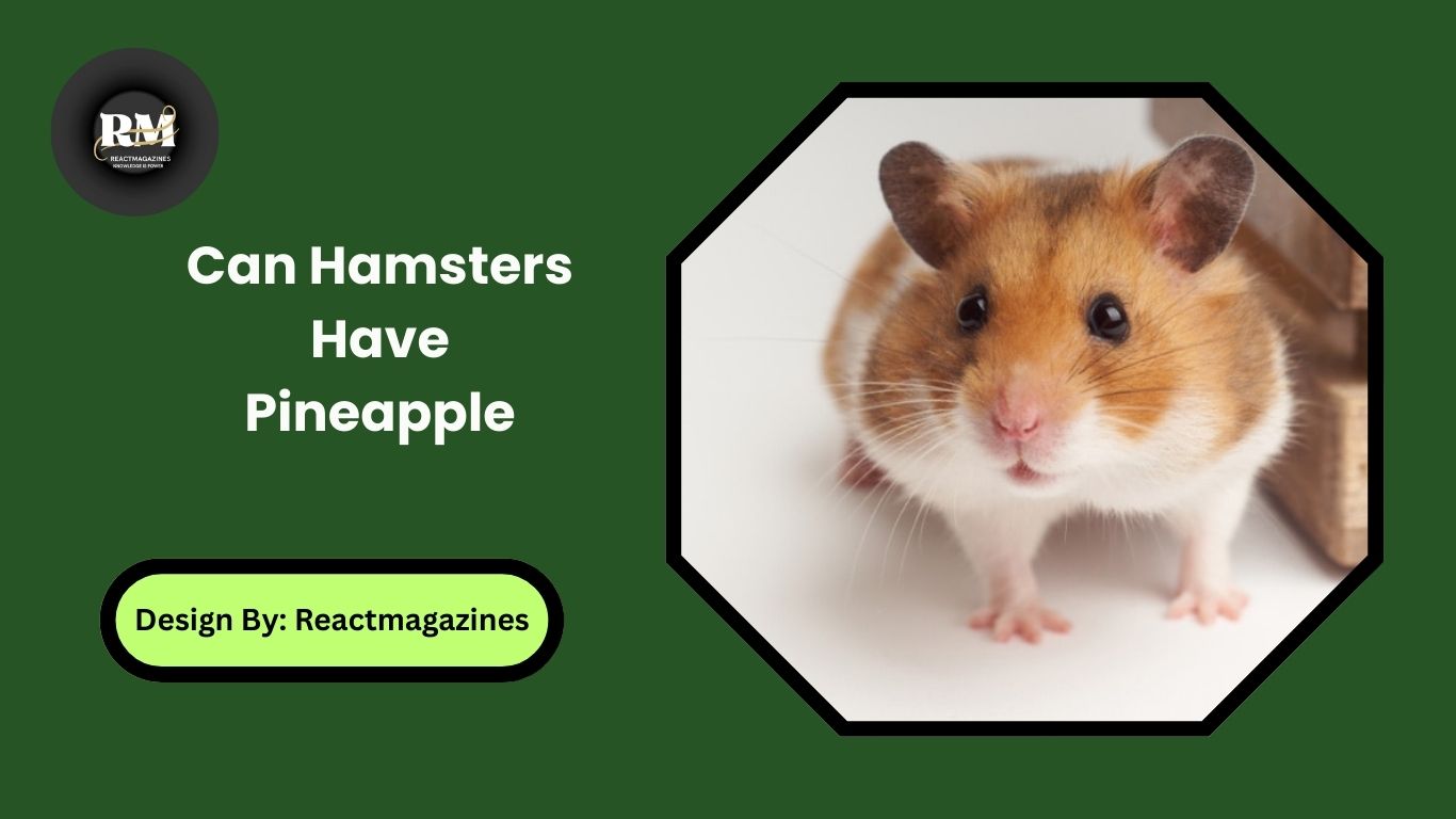 Can Hamsters Have Pineapple